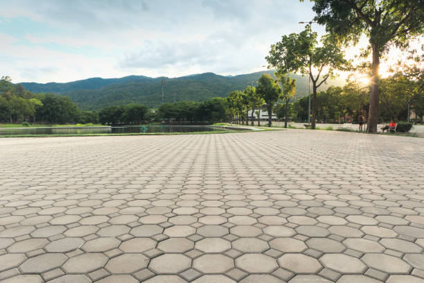 Paver Driveway Replacement in Whitney, NV