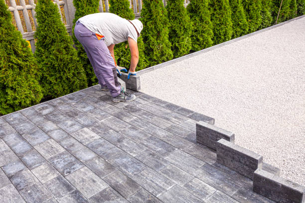 Best Local Driveway Pavers  in Whitney, NV