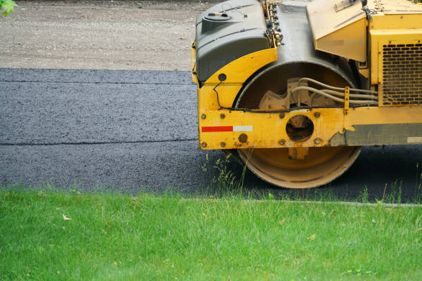 Best Professional Driveway Pavers  in Whitney, NV