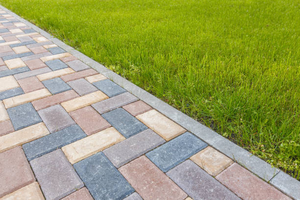 Best Driveway Paving Contractor  in Whitney, NV